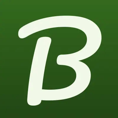 Boosinka, магазин одежды, лого-визитка