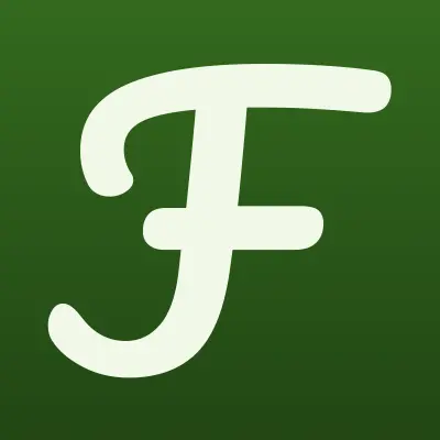 FastMoney, микрофинансовая организация, лого-визитка