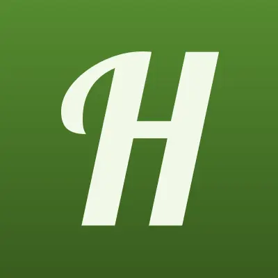 Hi-fi, магазин игрушек, лого-визитка
