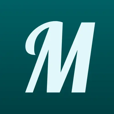 Магазин автозапчастей, ИП Чапля В.В., лого-визитка