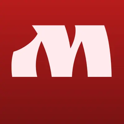 Мегастройпроект, проектная компания, лого-визитка